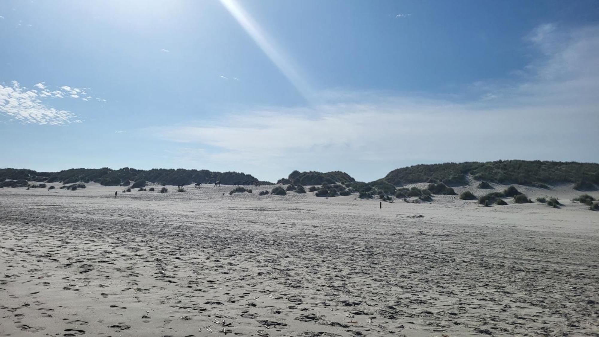 Duinzicht, Amelander Paradijs, Zonnig 6 Persoons Appartement Met Groot Terras Op De Begane Grond, Vrij Uitzicht, Upgrade 2024 Buren  Eksteriør billede